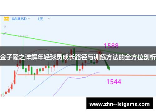 金子隆之详解年轻球员成长路径与训练方法的全方位剖析 金子隆之详解年轻球员成长路径与训练方法的全方位剖析