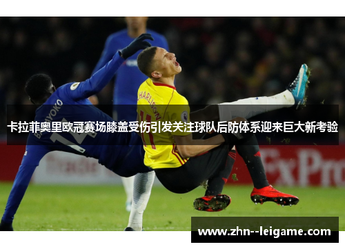 卡拉菲奥里欧冠赛场膝盖受伤引发关注球队后防体系迎来巨大新考验 卡拉菲奥里欧冠赛场膝盖受伤引发关注球队后防体系迎来巨大新考验