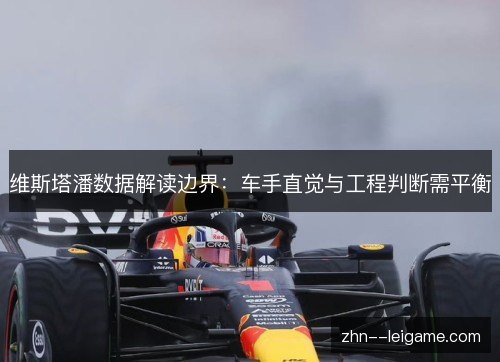 维斯塔潘数据解读边界:车手直觉与工程判断需平衡 维斯塔潘数据解读边界:车手直觉与工程判断需平衡